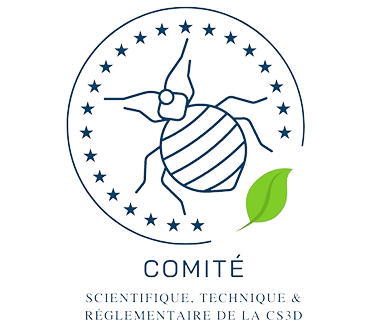 certif-1-removebg-preview